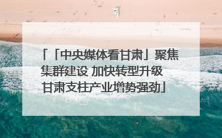 「中央媒体看甘肃」聚焦集群建设 加快转型升级 甘肃支柱产业增势强劲