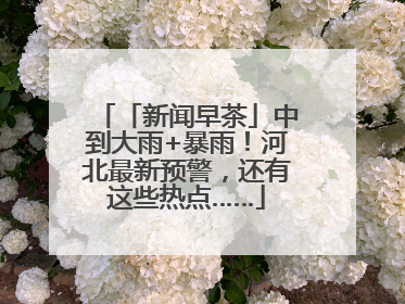 「新闻早茶」中到大雨+暴雨！河北最新预警，还有这些热点……