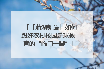 「蒲湖新语」如何踢好农村校园足球教育的“临门一脚”