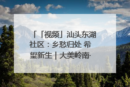 「视频」汕头东湖社区：乡愁归处 希望新生｜大美岭南·百村焕新记