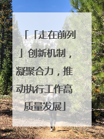 「走在前列」创新机制，凝聚合力，推动执行工作高质量发展