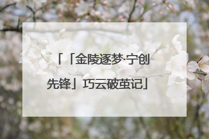 「金陵逐梦·宁创先锋」巧云破茧记