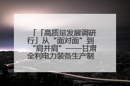 「高质量发展调研行」从“面对面”到“肩并肩”——甘肃全利电力装备生产制造项目一线见闻