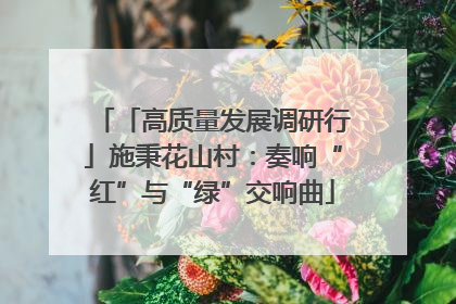 「高质量发展调研行」施秉花山村：奏响“红”与“绿”交响曲
