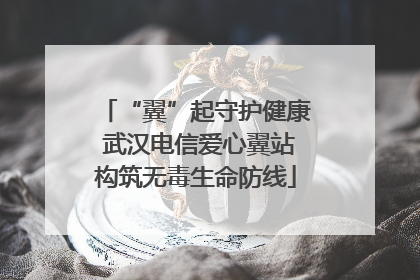 “翼”起守护健康 武汉电信爱心翼站构筑无毒生命防线