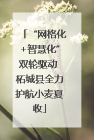 “网格化+智慧化”双轮驱动 柘城县全力护航小麦夏收