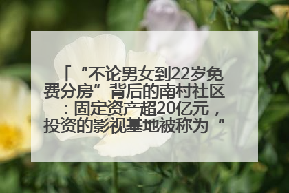 “不论男女到22岁免费分房”背后的南村社区：固定资产超20亿元，投资的影视基地被称为“山村好莱坞”