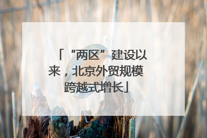 “两区”建设以来，北京外贸规模跨越式增长
