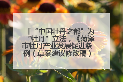 “中国牡丹之都”为“牡丹”立法，《菏泽市牡丹产业发展促进条例（草案建议修改稿）》公开征求意见
