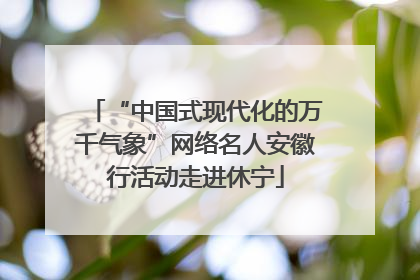 “中国式现代化的万千气象”网络名人安徽行活动走进休宁