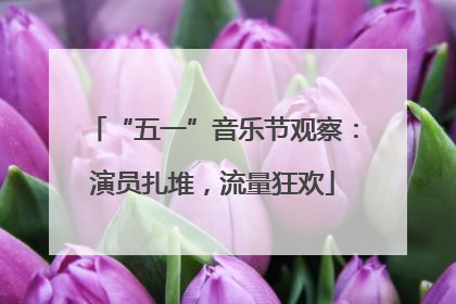 “五一”音乐节观察：演员扎堆，流量狂欢