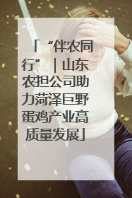 “伴农同行”｜山东农担公司助力菏泽巨野蛋鸡产业高质量发展