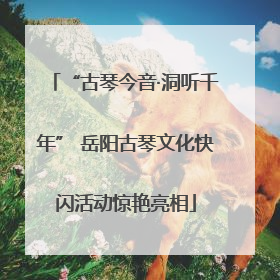 “古琴今音·洞听千年” 岳阳古琴文化快闪活动惊艳亮相
