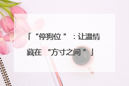 “停狗位 ”：让温情藏在 “方寸之间 ”