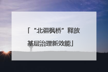 “北疆枫桥”释放基层治理新效能