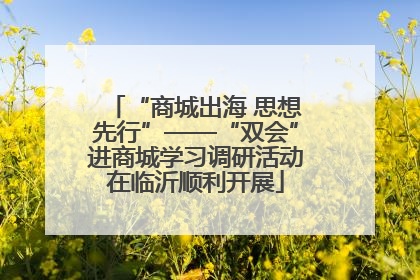 “商城出海 思想先行”——“双会”进商城学习调研活动在临沂顺利开展