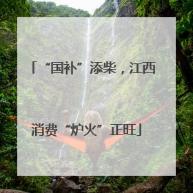 “国补”添柴，江西消费“炉火”正旺