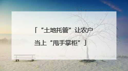 “土地托管”让农户当上“甩手掌柜”