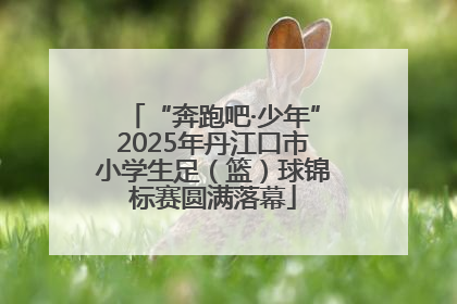 “奔跑吧·少年”2025年丹江口市小学生足（篮）球锦标赛圆满落幕