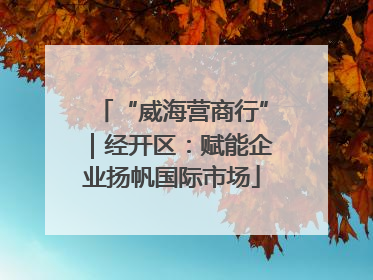 “威海营商行”｜经开区：赋能企业扬帆国际市场