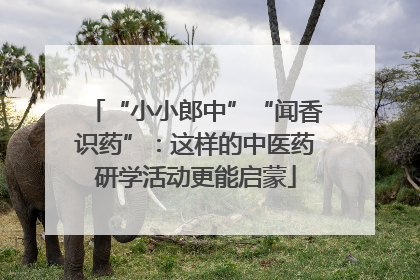 “小小郎中”“闻香识药”：这样的中医药研学活动更能启蒙