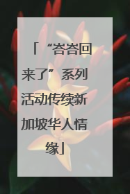 “峇峇回来了”系列活动传续新加坡华人情缘