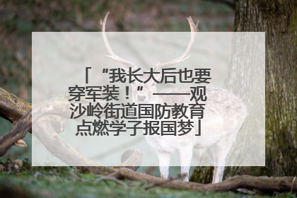 “我长大后也要穿军装！”——观沙岭街道国防教育点燃学子报国梦