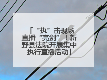 “执”击现场 直播“亮剑”!新野县法院开展集中执行直播活动