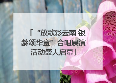 “放歌彩云南 银龄颂华章”合唱展演活动盛大启幕