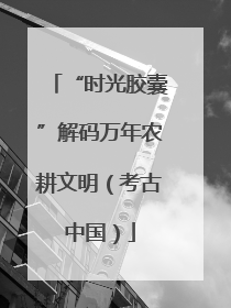 “时光胶囊”解码万年农耕文明（考古中国）