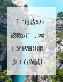 “月薪5万被裁员”，网上突然冒出很多！有猫腻