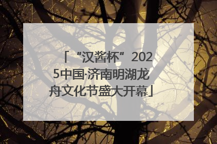 “汉酱杯”2025中国·济南明湖龙舟文化节盛大开幕