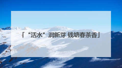 “活水”润新芽 钱塘春茶香