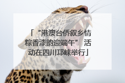 “港澳台侨叙乡情 粽香漆韵迎端午” 活动在四川邛崃举行