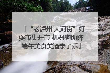 “老泸州·大河街”好耍市集开市 机器狗助阵端午美食美酒亲子乐