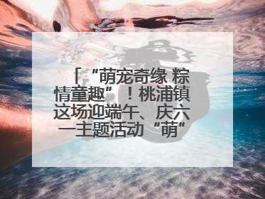“萌宠奇缘 粽情童趣”！桃浦镇这场迎端午、庆六一主题活动“萌”翻全场～