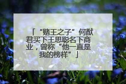 “赌王之子”何猷君买下王思聪名下商业，曾称“他一直是我的榜样”