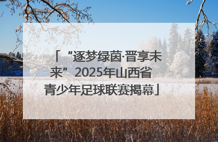 “逐梦绿茵·晋享未来”2025年山西省青少年足球联赛揭幕