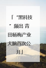 “黑科技”频出 青田杨梅产业大脑首次公开