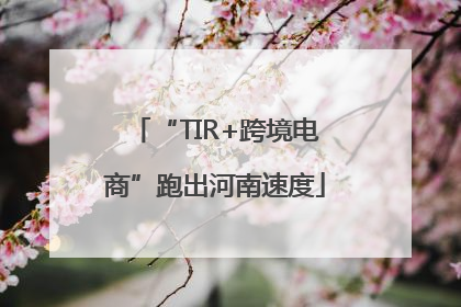 “TIR+跨境电商”跑出河南速度