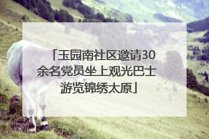 玉园南社区邀请30余名党员坐上观光巴士 游览锦绣太原