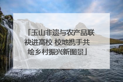 玉山非遗与农产品联袂进高校 校地携手共绘乡村振兴新图景