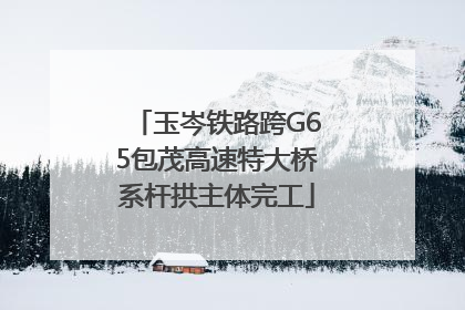 玉岑铁路跨G65包茂高速特大桥系杆拱主体完工
