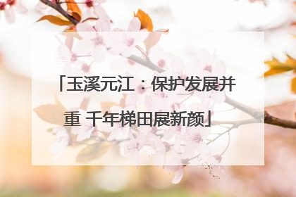 玉溪元江：保护发展并重 千年梯田展新颜