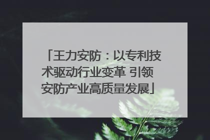 王力安防：以专利技术驱动行业变革 引领安防产业高质量发展