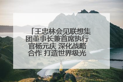王忠林会见联想集团董事长兼首席执行官杨元庆 深化战略合作 打造世界级光电子信息产业集群