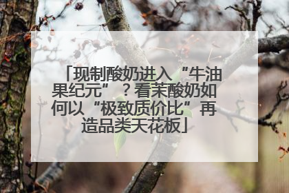 现制酸奶进入“牛油果纪元”？看茉酸奶如何以“极致质价比”再造品类天花板