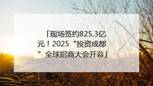 现场签约825.3亿元！2025“投资成都”全球招商大会开幕