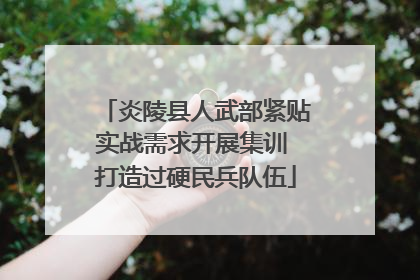炎陵县人武部紧贴实战需求开展集训 打造过硬民兵队伍