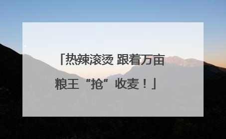 热辣滚烫 跟着万亩粮王“抢”收麦！